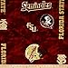 NCAA Florida State Seminoles Fleece Digital, Fabric by the Yard