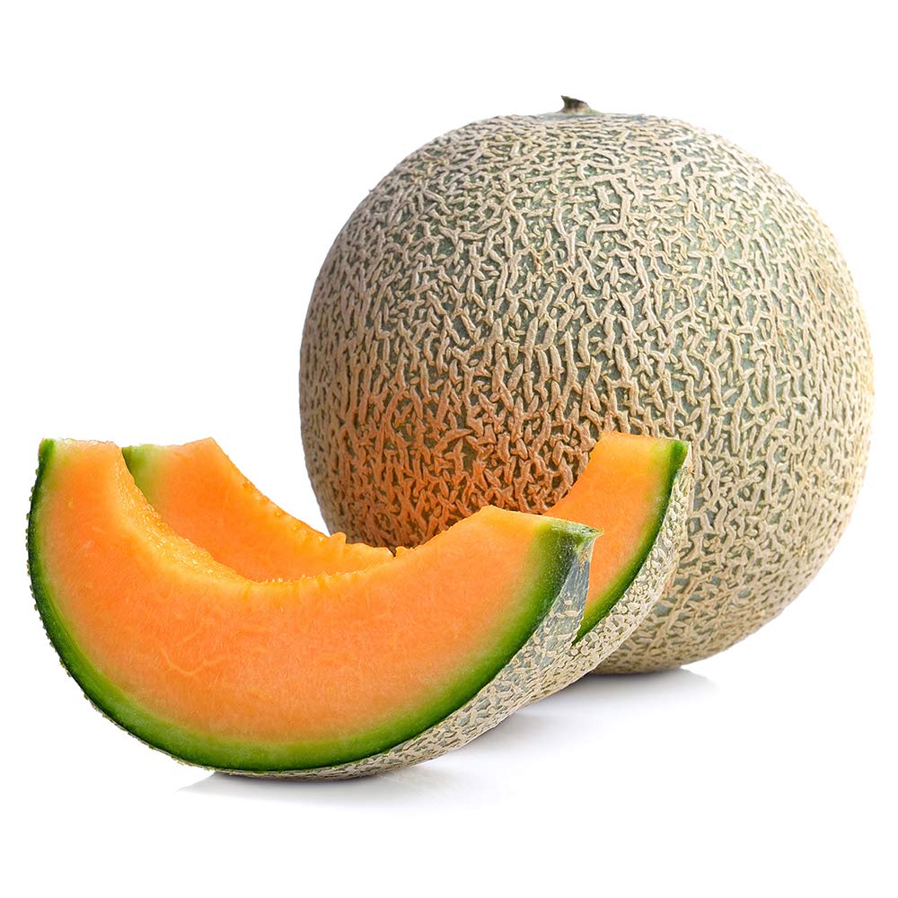 Amazon.co.jp: ITANSE メロンの苗 らくらく極甘！赤肉ネット