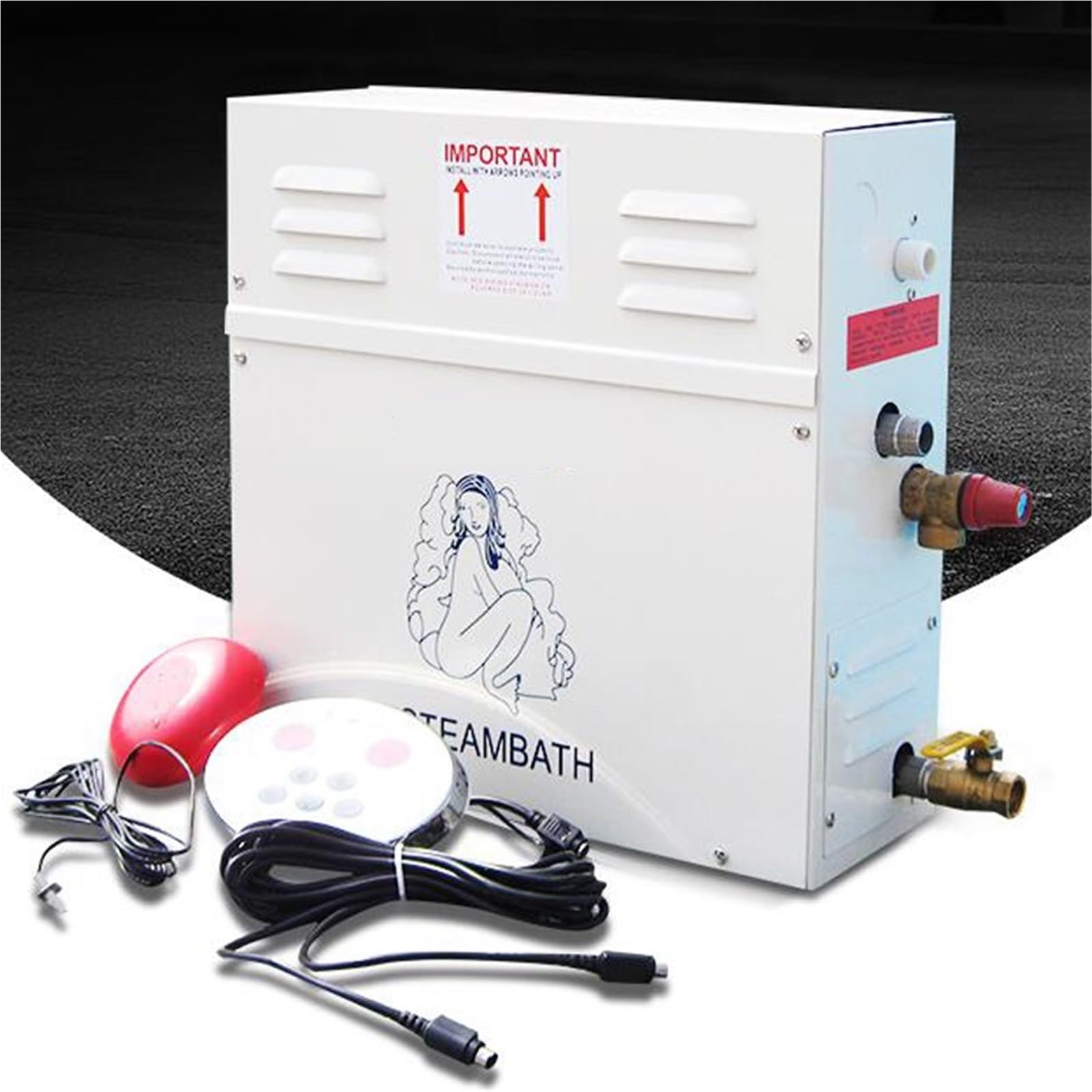 12KW Steam Generator 220 Household Steam Bath Sauna Dry Stream Furnace Wet Steam Steamer Digital Controller High-Performance
