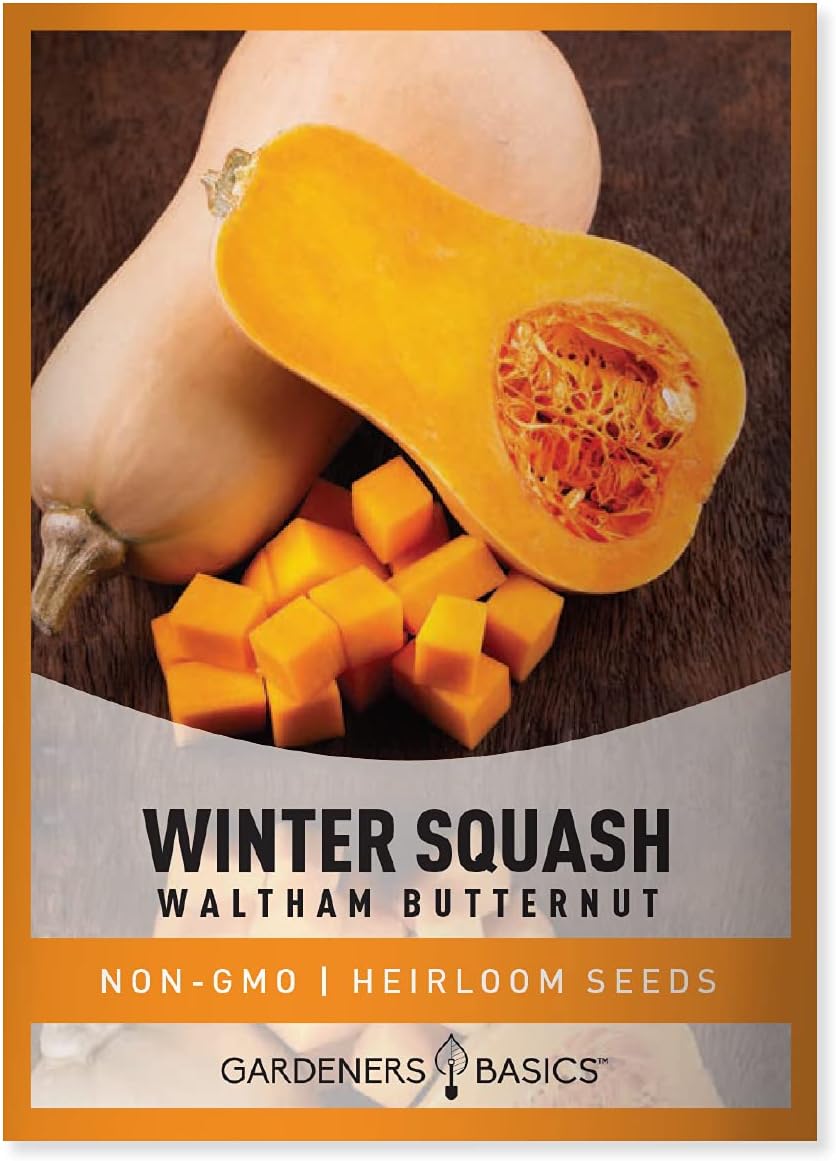 Waltham Heirloom Butternut Squash Seeds Semillas Vegetales de