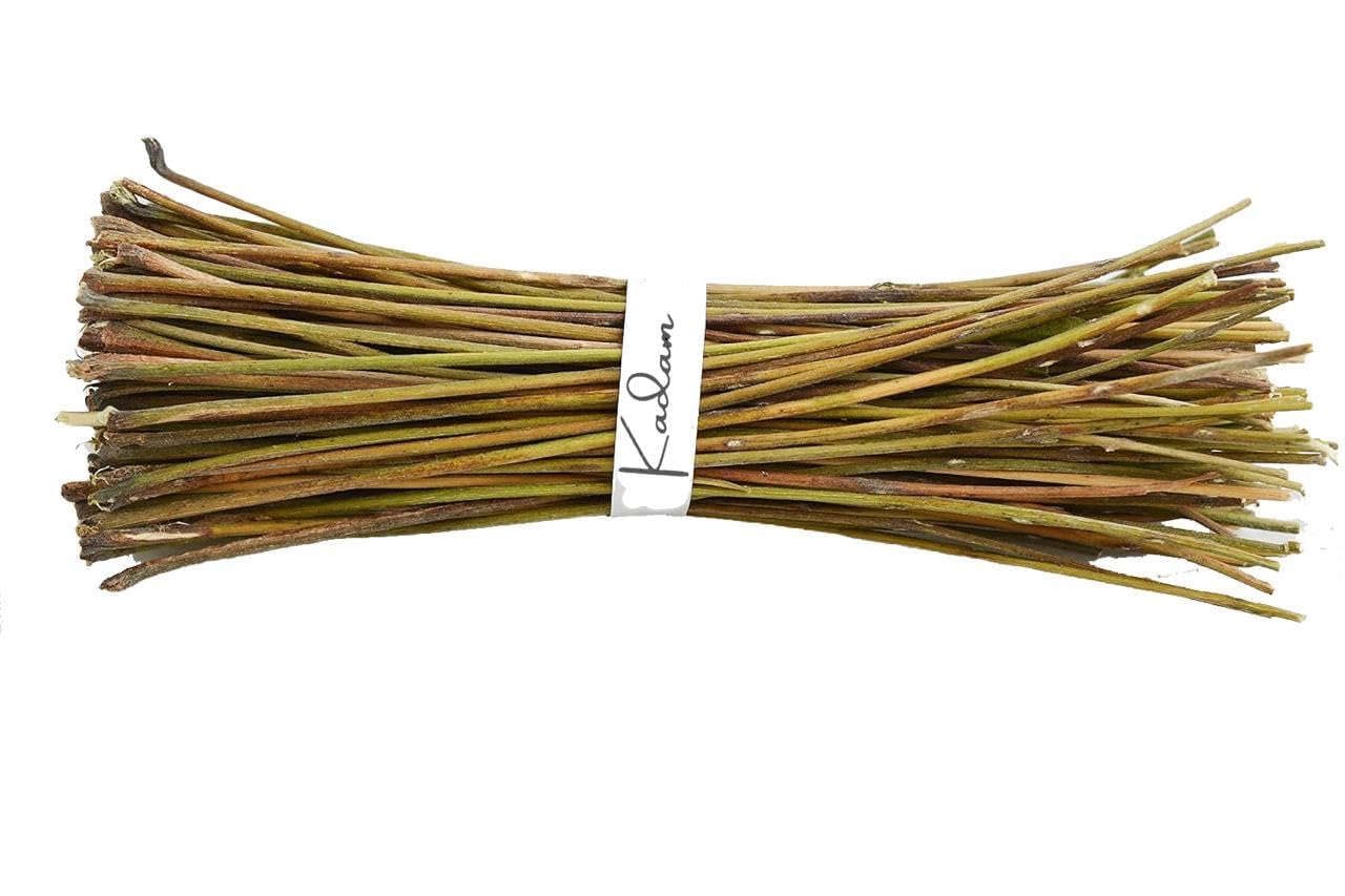 Neem Tooth pick, Teethsticks (150 Sticks) Natural Pure Sun Dried Tooth Picks Dant saaf karne ki Stick (B0DDXP91ZS) Amazon Price History, Amazon Price Tracker