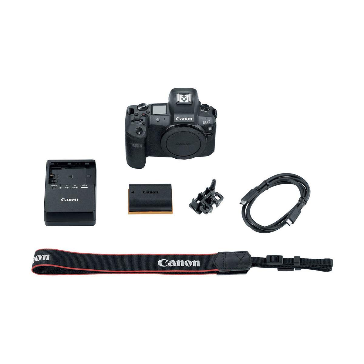 Amazon.com : Canon EOS R 30.3MP Mirrorless Camera (Body Only) w/RF