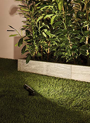 Paulmann 93934 Plug & Shine Spotlight Sting IP67 3000K 6W 24V Ausstrahlwinkel 100° 93934 LED Aussenbeleuchtung Erdspieß Gartenbeleuchtung