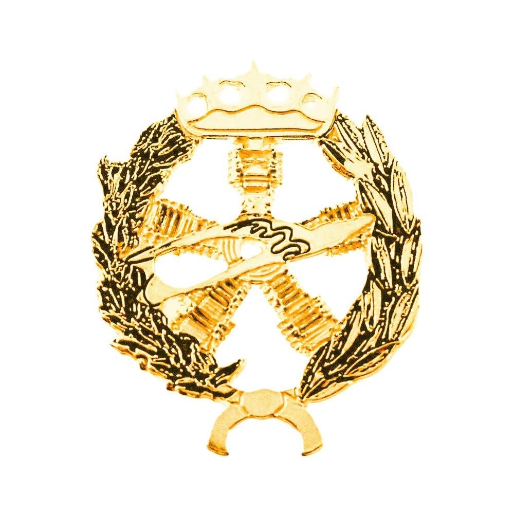 Insignia Profesional Ingeniero Aeronáutico y del Espacio 22mm. Plata 925m Ley Chapado Oro Pin