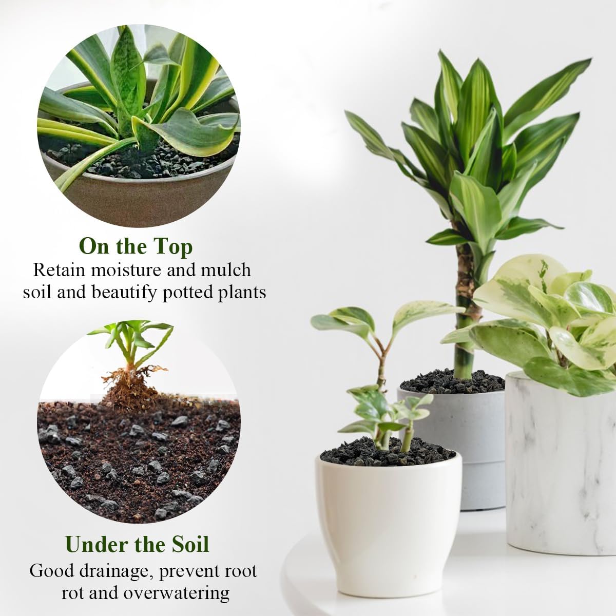 5 lbs Small Black Lava Rocks for Plants,1/4 Inch Crush Volcanic Rock Pumice Soil Additive for Succulent Aquarium Cactus Bonsai Fire Pits and Garden Landscaping - Image 4