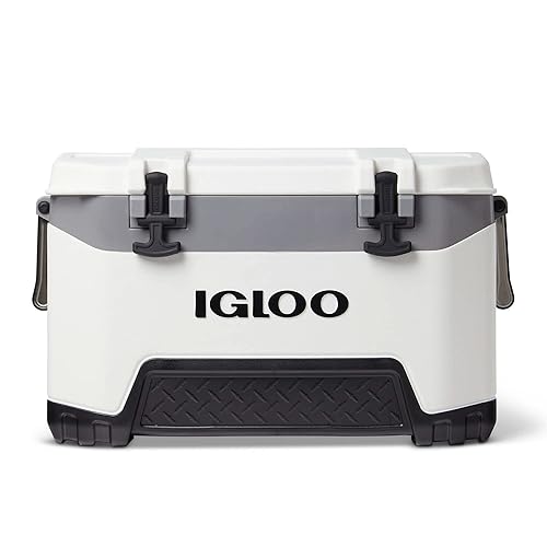 Igloo
