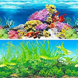 IrisCargo Aquarium-Hintergrund H-62 x 40 cm