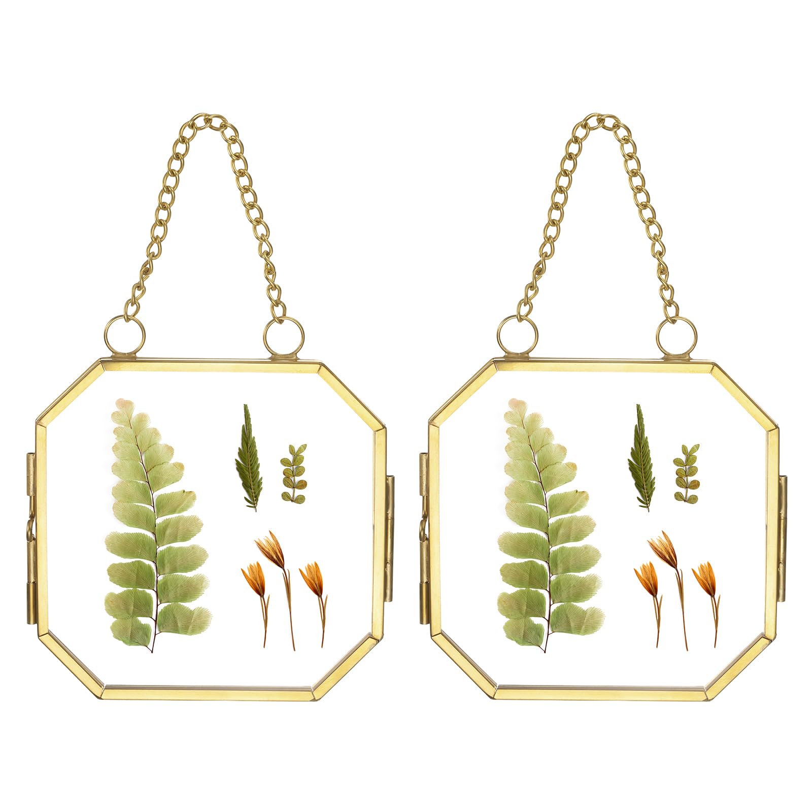 Cadre photo double en verre suspendu pour sublimer vos herbiers muraux de salon