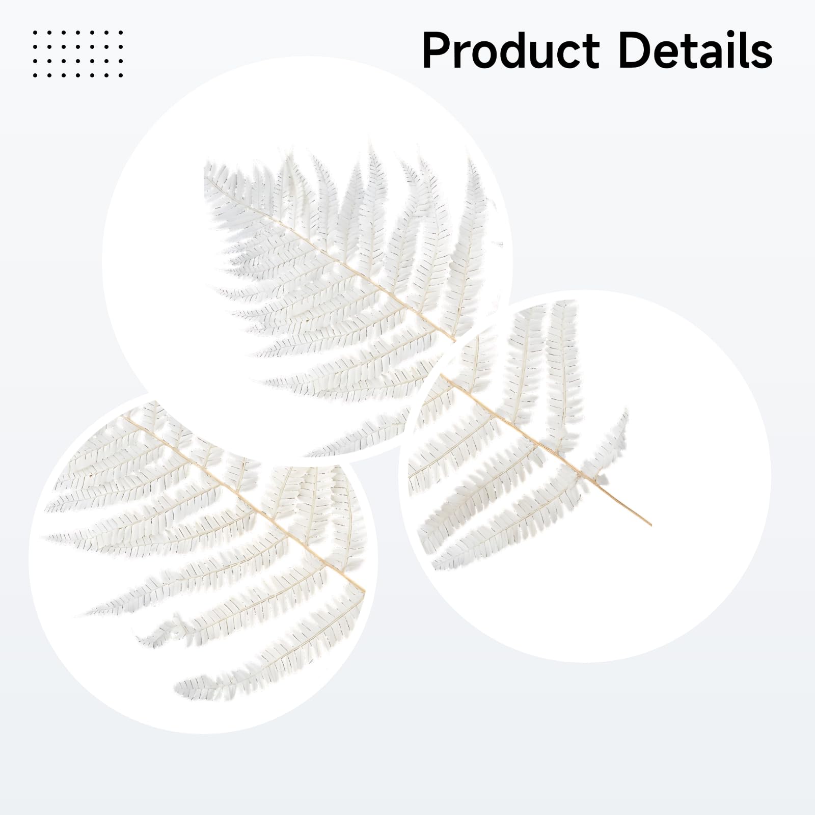 10 pièces de fougères préservées Blanches, tiges de fougère séchées 40 à 50 cm, Feuilles de fougère éternelles, matériau Floral DIY, pour boîte à Fleurs, décoration de Couronne
