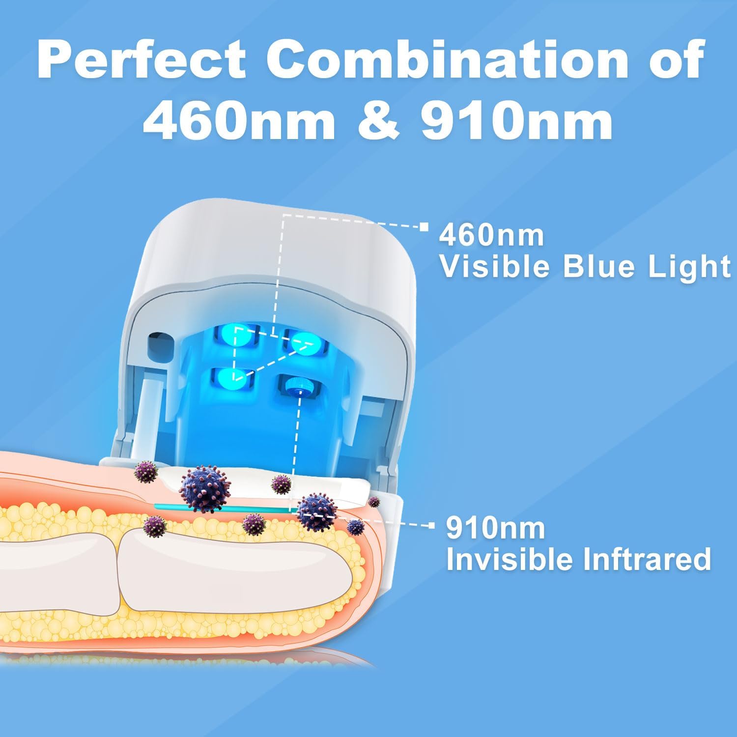https://m.media-amazon.com/images/I/61ASJAFn3ZL.jpg