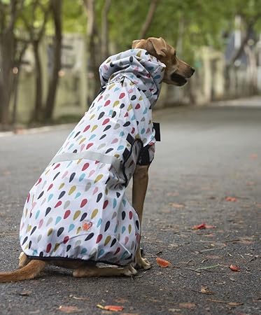 Lana Paws Colourful Raindrops Printed Raincoat for Extra Large Dogs