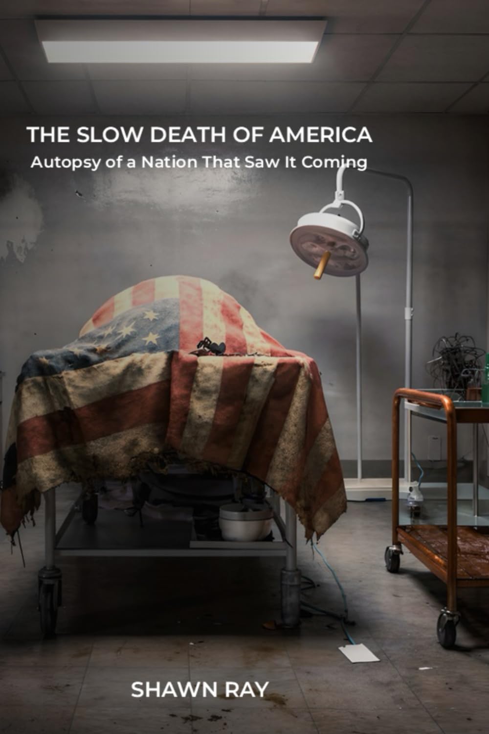 The Slow Death of America: Autopsy of a Nation That Saw It Coming: 1