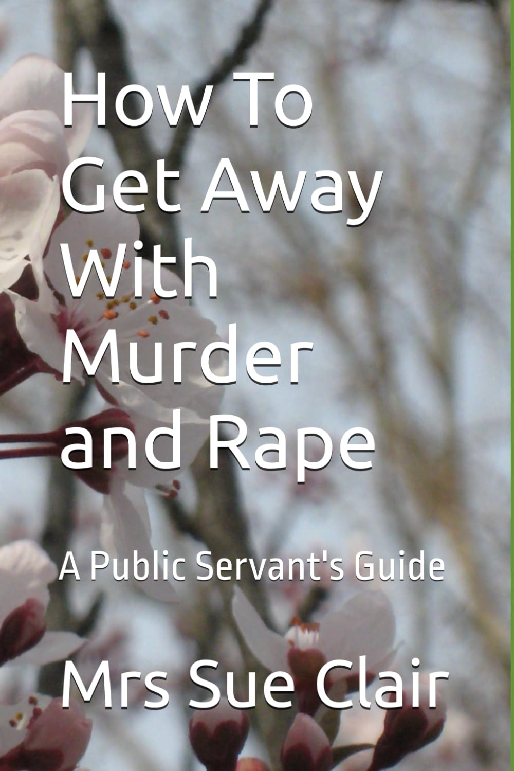 How To Get Away With Murder and Rape: A Public Servant's Guide (The Abuses of Hornsby Hospital Series)