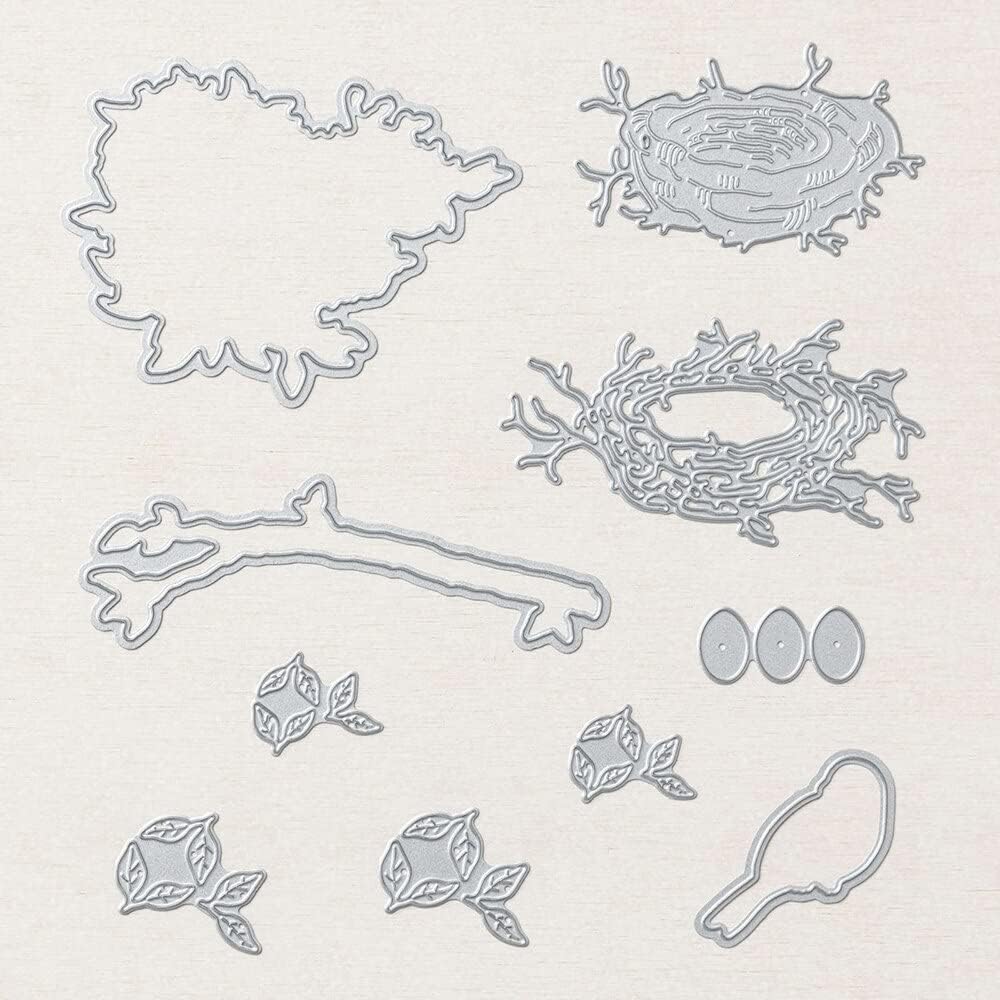 Nested Friends and The Nested Friends Adorable Bird Sentiments Stamps DIY Scrapbooking Card Making Design Craft Greetings Sentiments Decorative Template Machine Supplies, (English Stamp no die)
