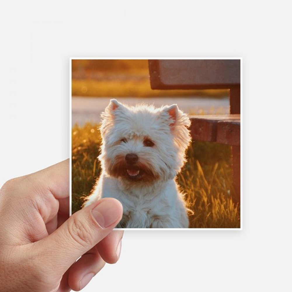 Sticker carré Chien Blanc Animal poétique pour décoration