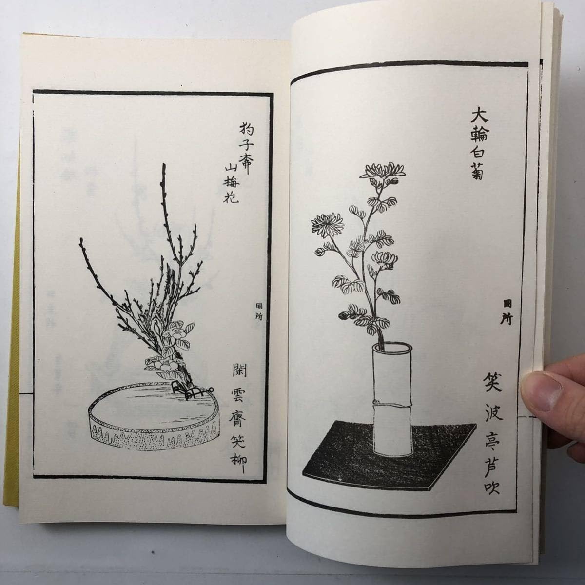 茶道具】茶掛花道家元松月堂古流十二世『植松賞月』 書幅