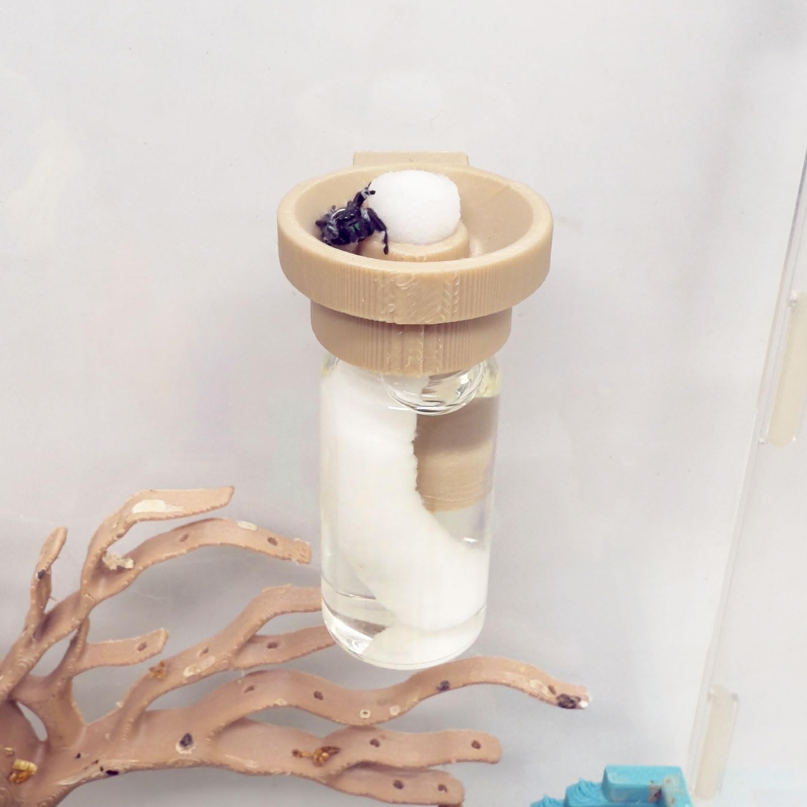 Jumping Spider Water Dispenser, Magnetic Hanging Feeder,Suitable for Jumping Spiders,Tarantulas, Praying Mantises,Arboreal Animals, and Other Small Animal Enclosure Accessories (Wood Color, 10ML)