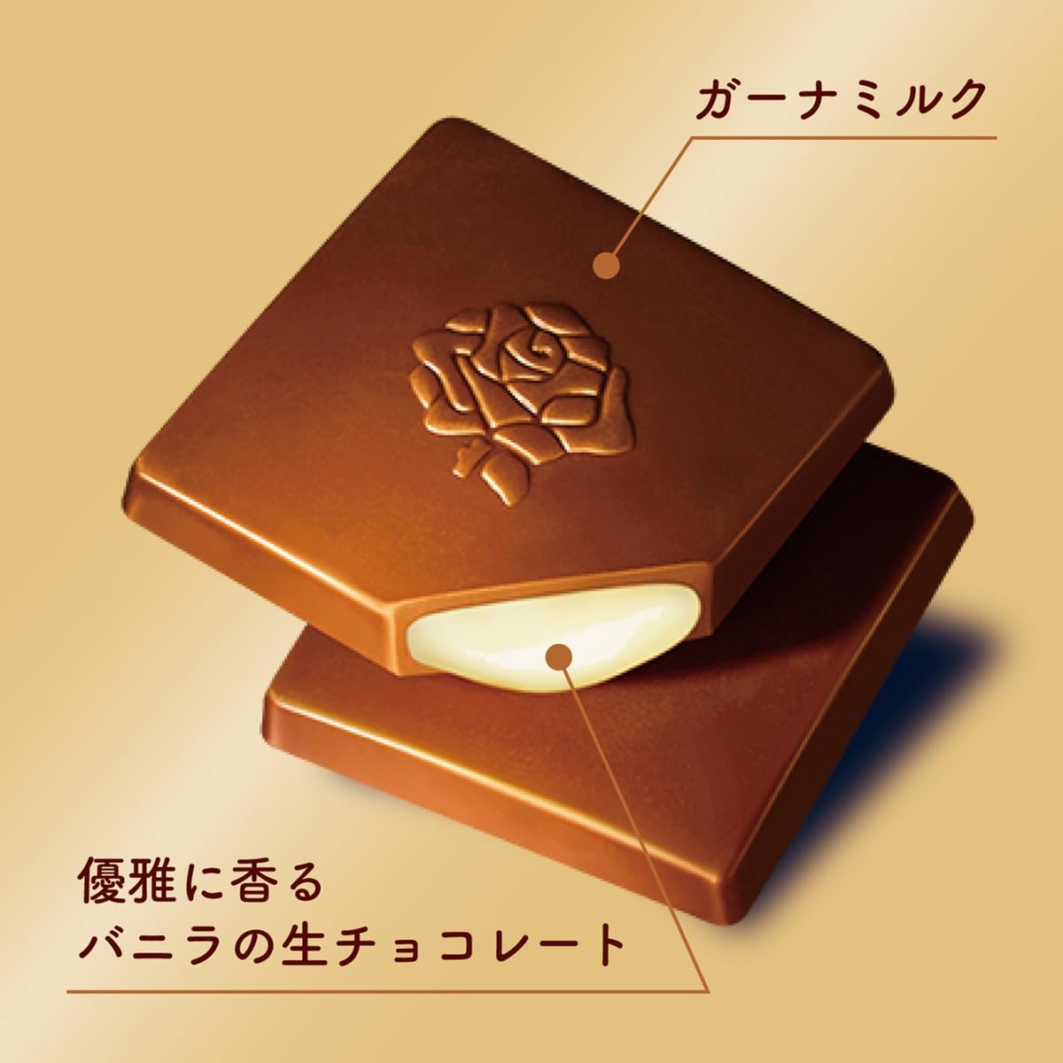 Amazon | ロッテ プレミアムガーナ 生チョコレート(アンフィニマン