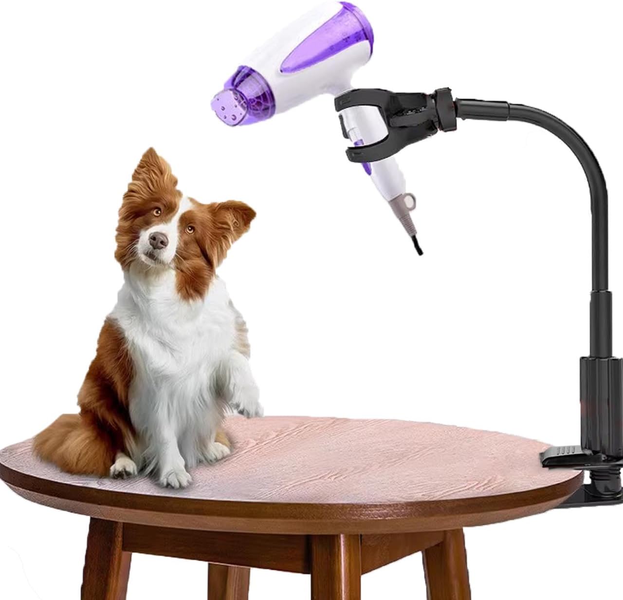 Dog Hair Dryer Holder, Convenient Stable, Hands Free hair dryer stand, 360 Degree Rotating, Adjustable Hair Dryer Clamp Mount for Dog Cat Grooming Table Countertop