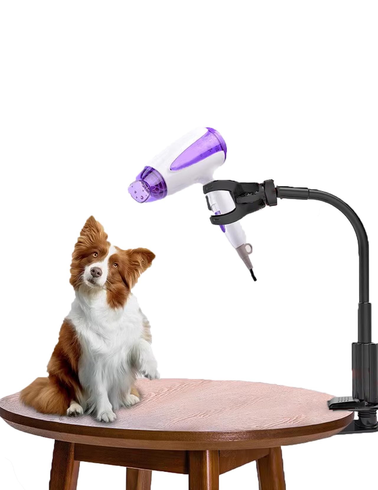 ZLXHDL Dog Hair Dryer Holder, Convenient Stable, Hands Free hair dryer stand, 360 Degree Rotating, Adjustable Hair Dryer Clamp Mount for Dog Cat Grooming Table Countertop