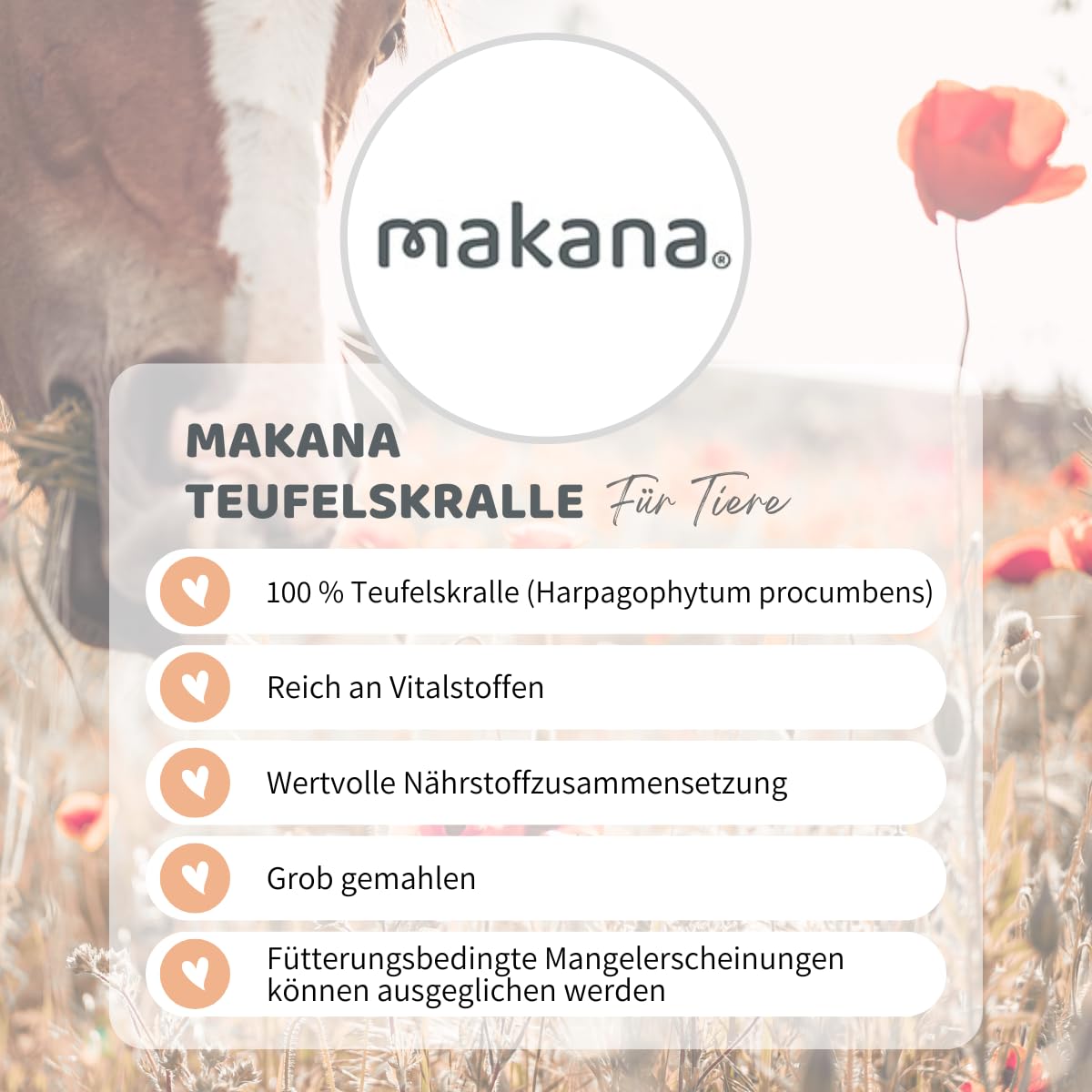 Makana - Suplemento alimentario Garra del Diablo para Caballos, molido, 1 Bolsa de 1 kg