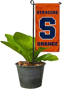 College Flags & Banners Co. Syracuse Orange Mini Garden and Flower Pot Flag Topper