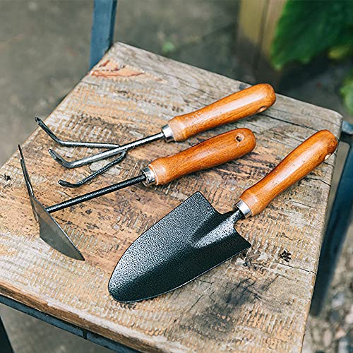 Herramienta de jardín SagaSave con mango largo para deshierbe miniatura 7