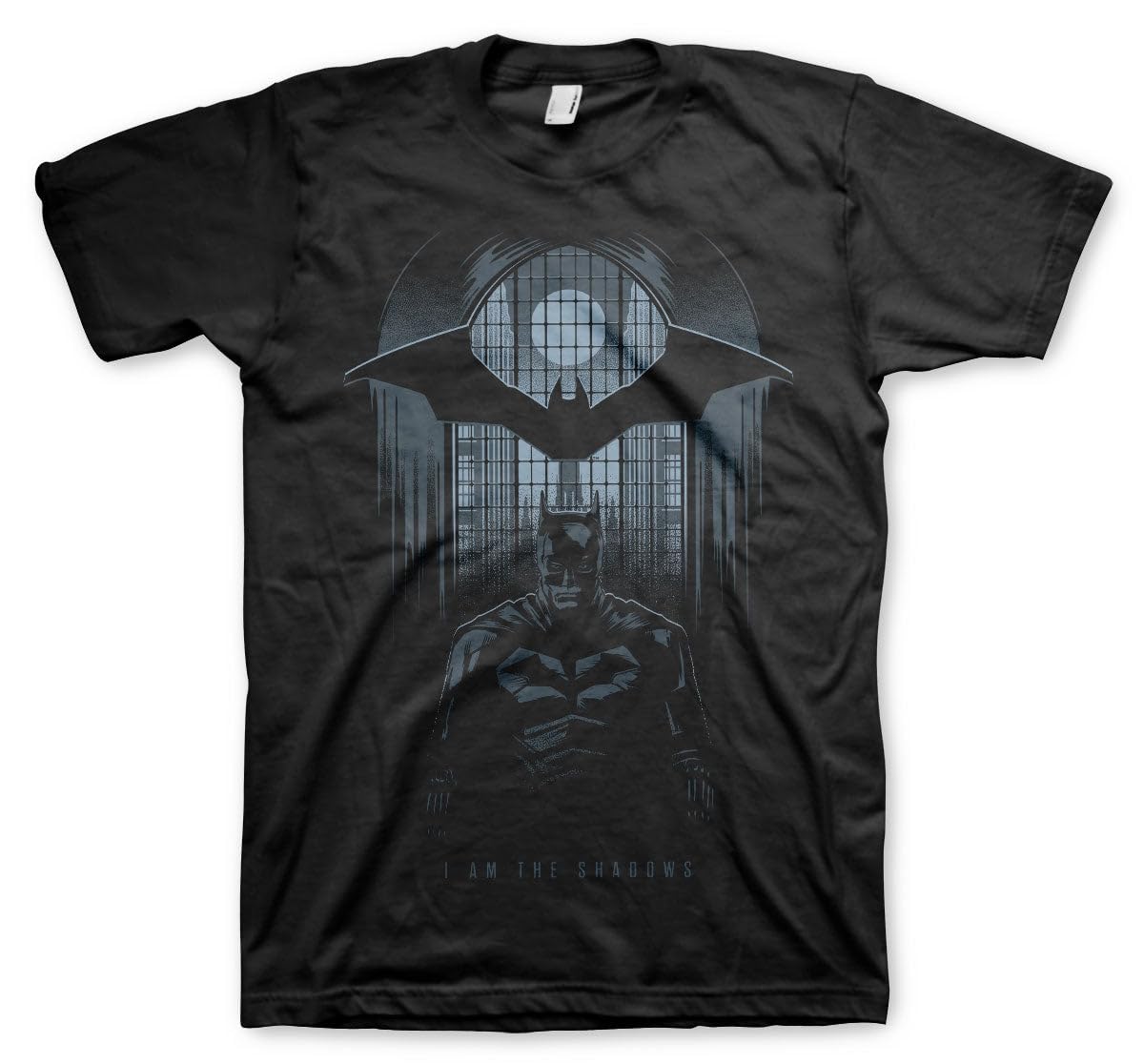 BATMAN Officially Licensed I Am The Shadows Mens T-Shirt (Black), Medium