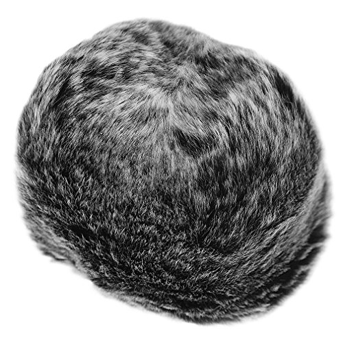 First2Savvv Outdoor Portable Digital Recorders Furry Microphone Mic Windscreen Wind Muff For Tascam Dr-05 + Mini Tripod + Suede Cleaning Cloth Tm-Dm-Dr05-H01Tz3 #TOP4