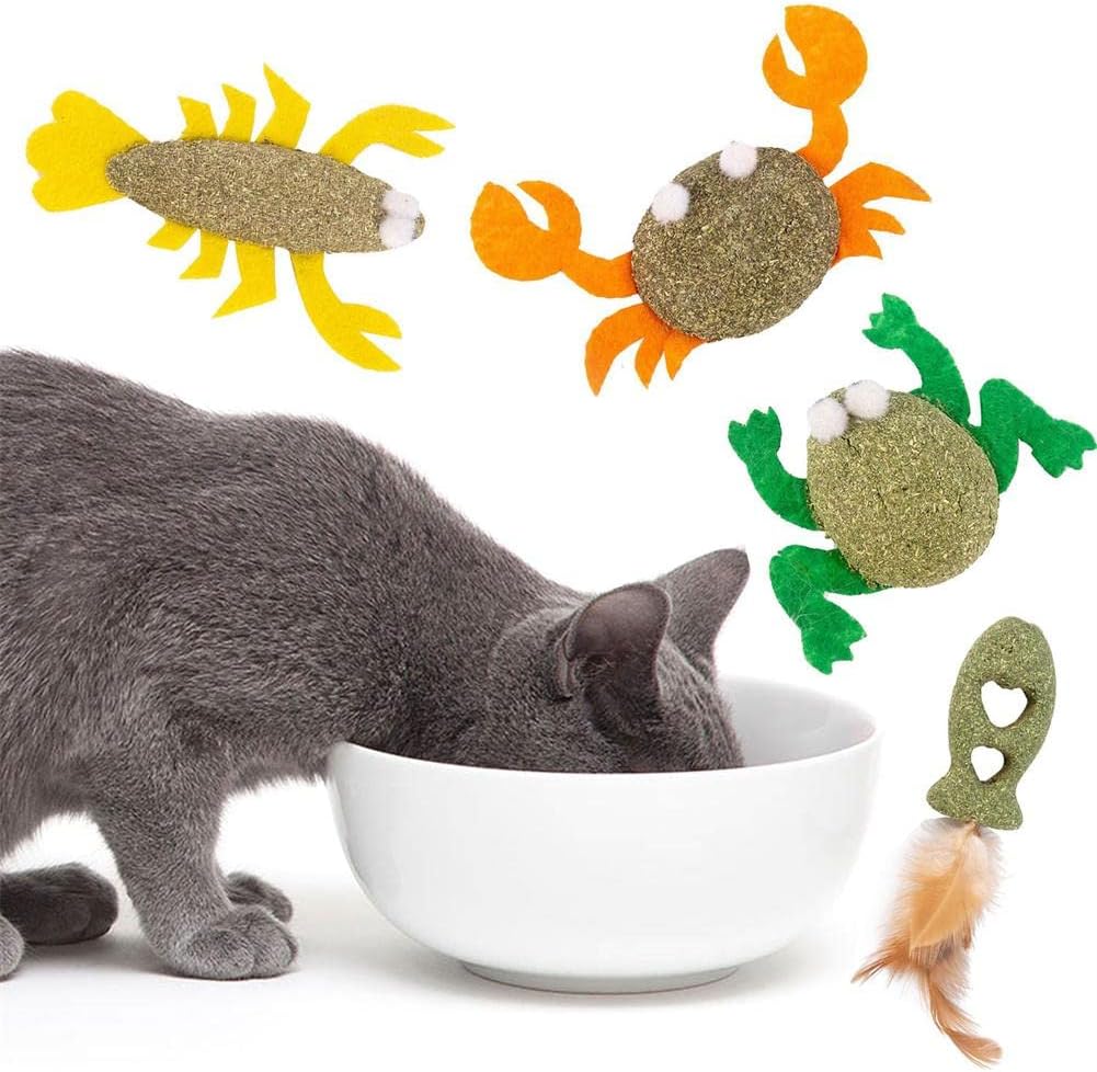 Cat Teeth Cleaning Toy,Catnip Ball Toys for Indoor Cats,Cat