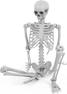 5.4ft/165cm Full Size Halloween Skeleton - Realistic Design Human Skeletons with Movable Joins, for Halloween Decorations, Haunted House and Theme Party