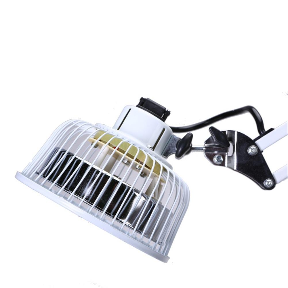 300W TDP Lejos Calor Lámpara Electromagnético Terapia Fisioterapia Ligero Mineral Plato Aparato Hora Ajuste Ajustable Temperatura