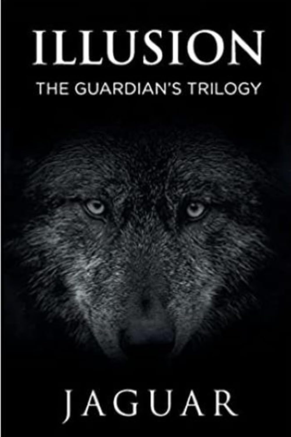 The Guardian's Trilogy: Illusion