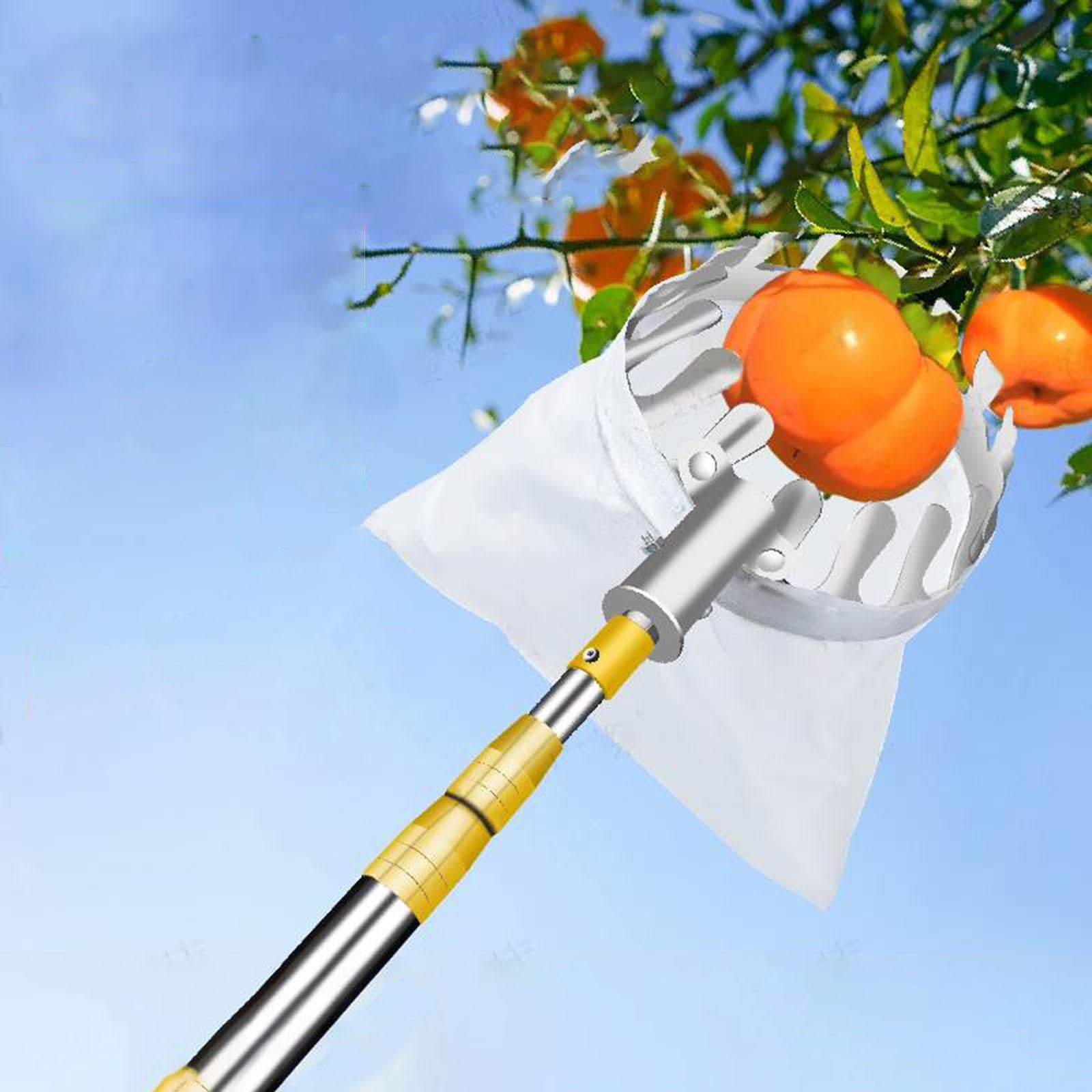 obstpflücker apfelpflücker Obstpflücker Werkzeug, 2.5 4 6 10 M Ausziehbare Stange Für Apfel-Orange-Zitrone-Birne-Pflücker Mit Korbtasche & Teleskopischer Langer Griff Rostfreier Stahl Obstpflücker/ Er