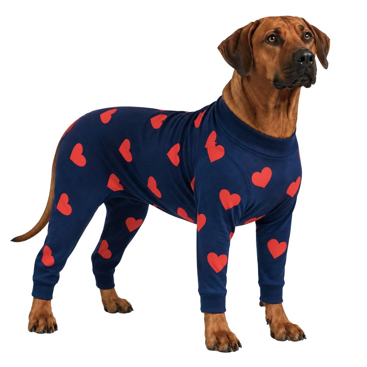 Spark Paws Dog Pajamas - Stretch Onesie Recovery Full Leg Surgery Suit PJS