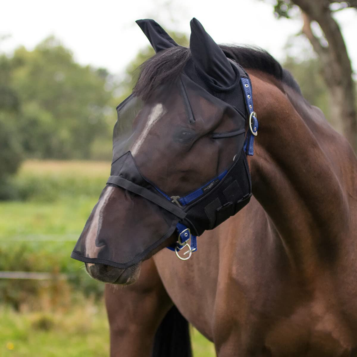 Masque anti-mouches Mini noir QHP pour éviter les irritations et moucherons du nez