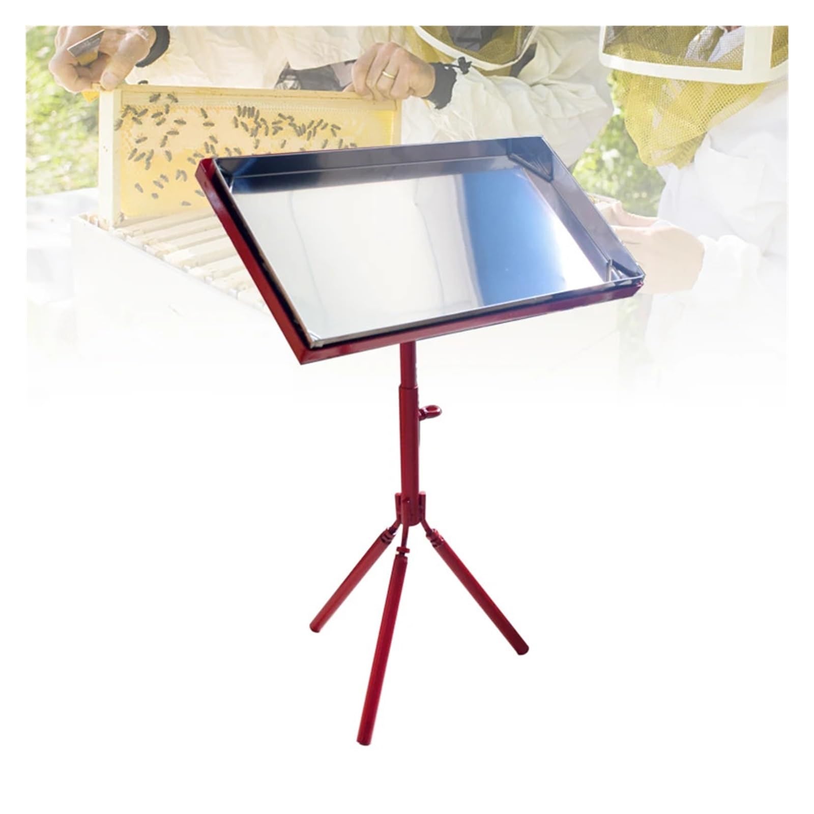 Apicoltura Strumento for innesto Stazione for innesto Tavolo operatorio Attrezzatura for Allevamento api Regine Forniture for trasferimento Larve Apicoltura per Gli Appassionati di Apicoltura