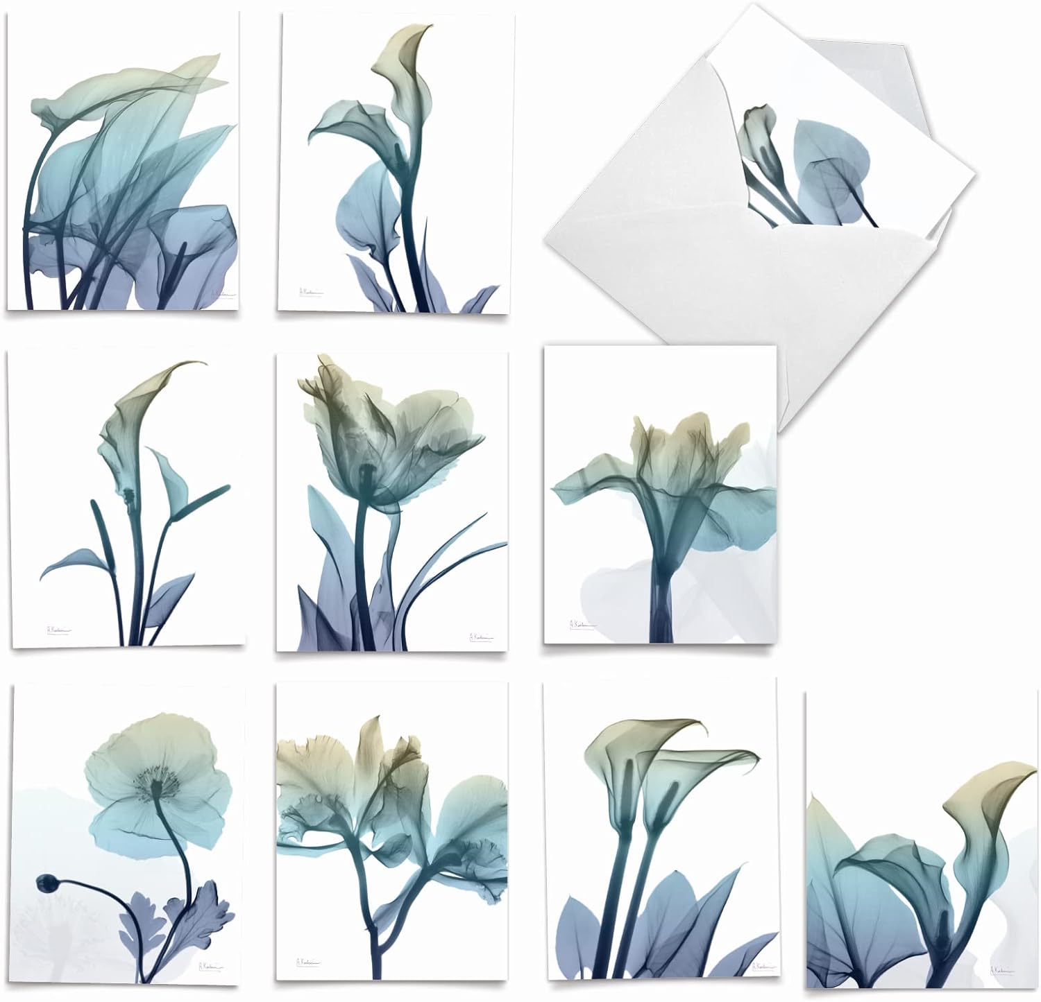 The Best Card Company - 10 Boxed Note Cards with Flowers - Blank Assorted Floral Notecards Bulk (4 x 5.12 Inch) - Blooming Expressions AM6221OCB-B1x10