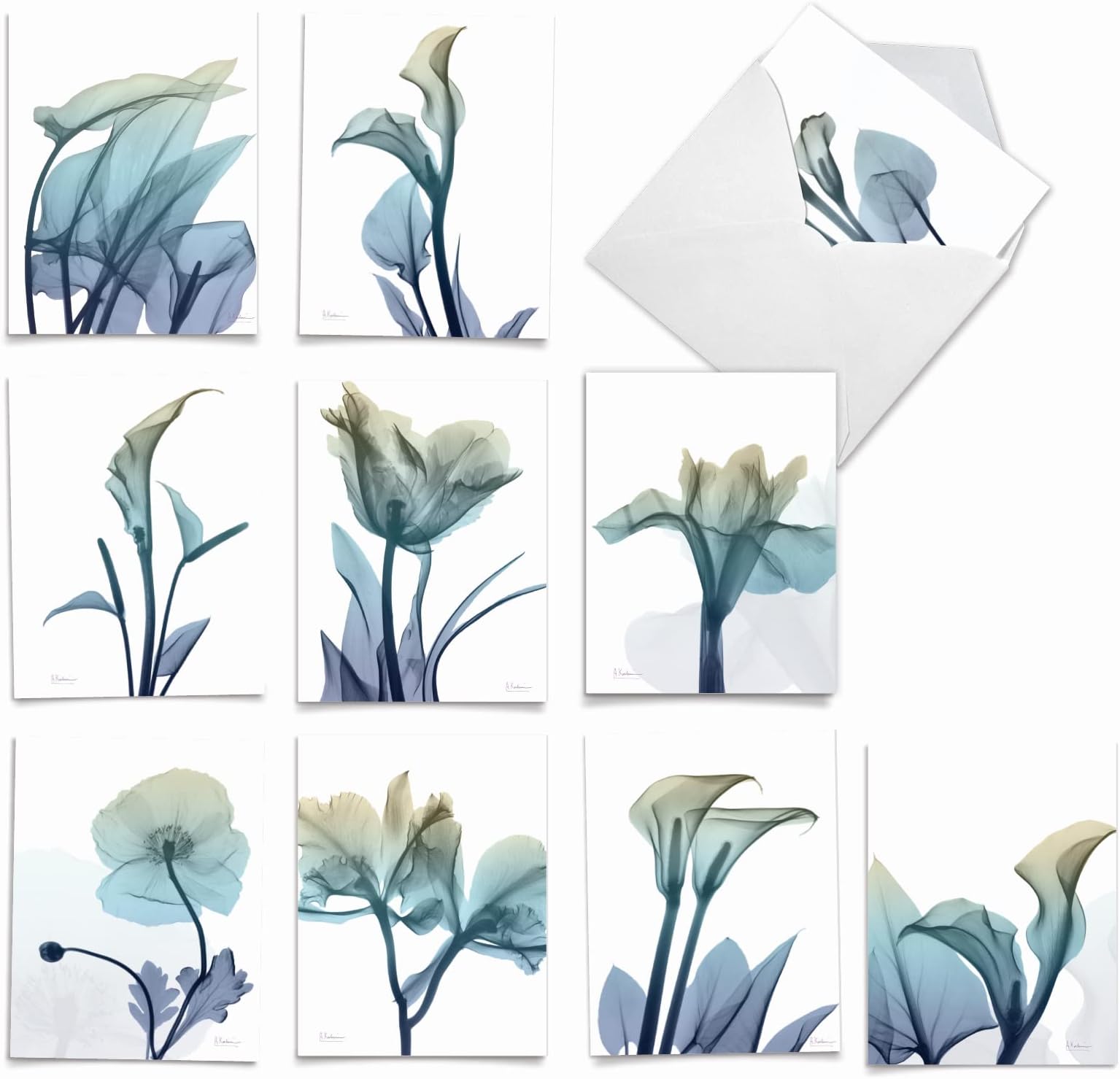 10 Boxed Note Cards with Flowers - Blank Assorted Floral Notecards Bulk (4 x 5.12 Inch) - Blooming Expressions AM6221OCB-B1x10