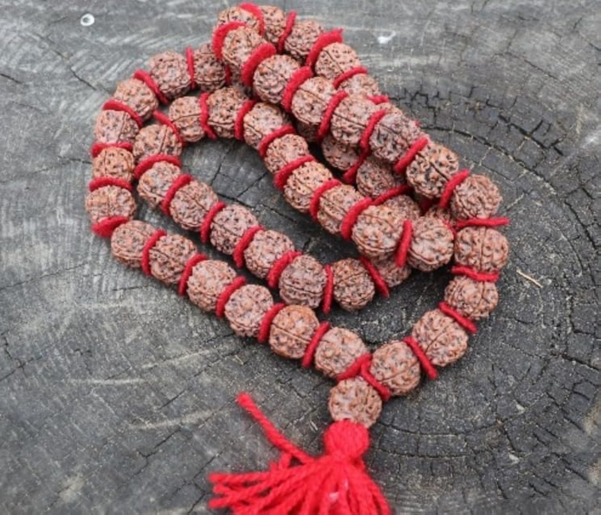 5 Mukhi Rudraksha Japa Mala, Blessed by Mahadev