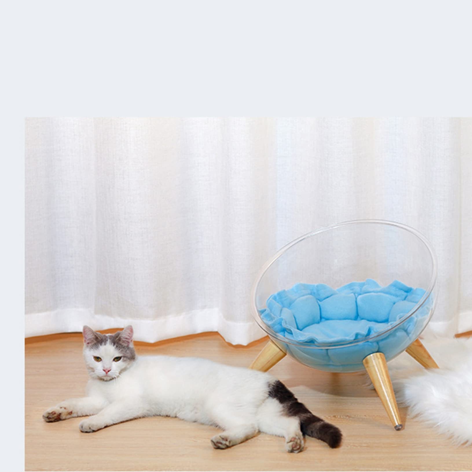 Amazon | 猫ハウス 猫ベッド 宇宙カプセル 透明 クリア キャット