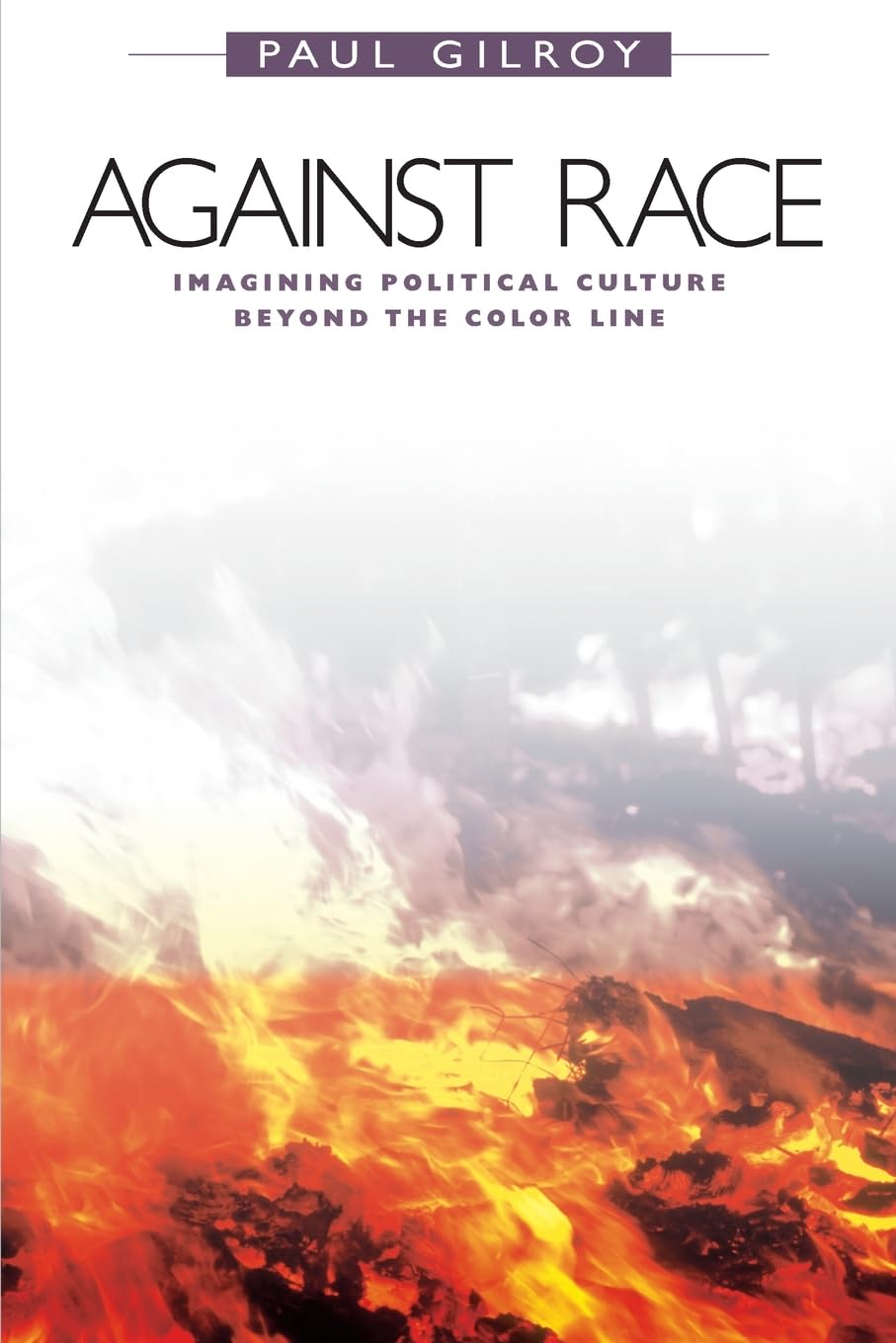 Against Race: Imagining Political Culture beyond the Color Line