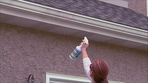 Vista 2 de gp66 El estuche limpiador milagroso verde de GP66 (botellas de 12 unidades de 32 onzas) limpia casi cualquier cosa en cualquier lugar producto verde