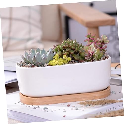 Miniatura 7 de GANAZONO Maceta de cerámica con bandeja para plantas drenantes para un crecimiento saludable para la decoración del hogar