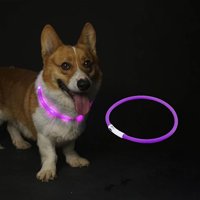 Tianruida LED Dog Collar, USB Rechargeable, Cut To Size Universal Fit, Easy Clean, Improves Visibility & Safety For Your Dog (1 Pack Purple)