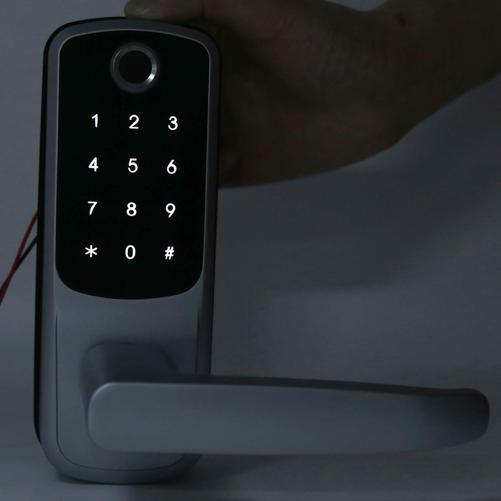 Tyenaza WiFi Smart Lock Fingerabdruck Passwort Karte Fernentriegelung Touchscreen mit mechanischem Schlüssel für TUYA