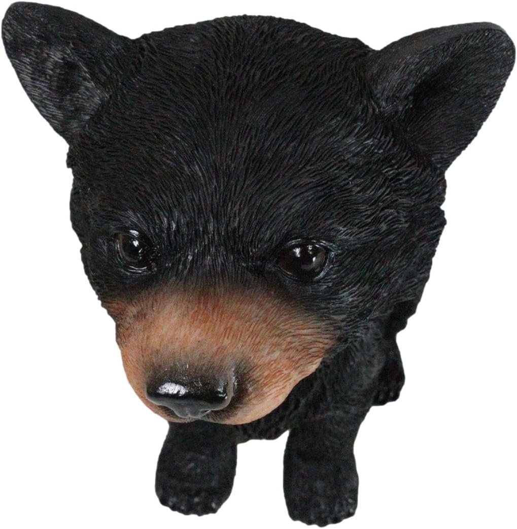 Ebros Gift Rustic Woodlands Black Bear Cub Bobblehead Figurine 6" Tall Wildlife Animal Spirit Bears Bobble Head Wildlife Cabin Lodge RV Mountain Home Accent Sculpture