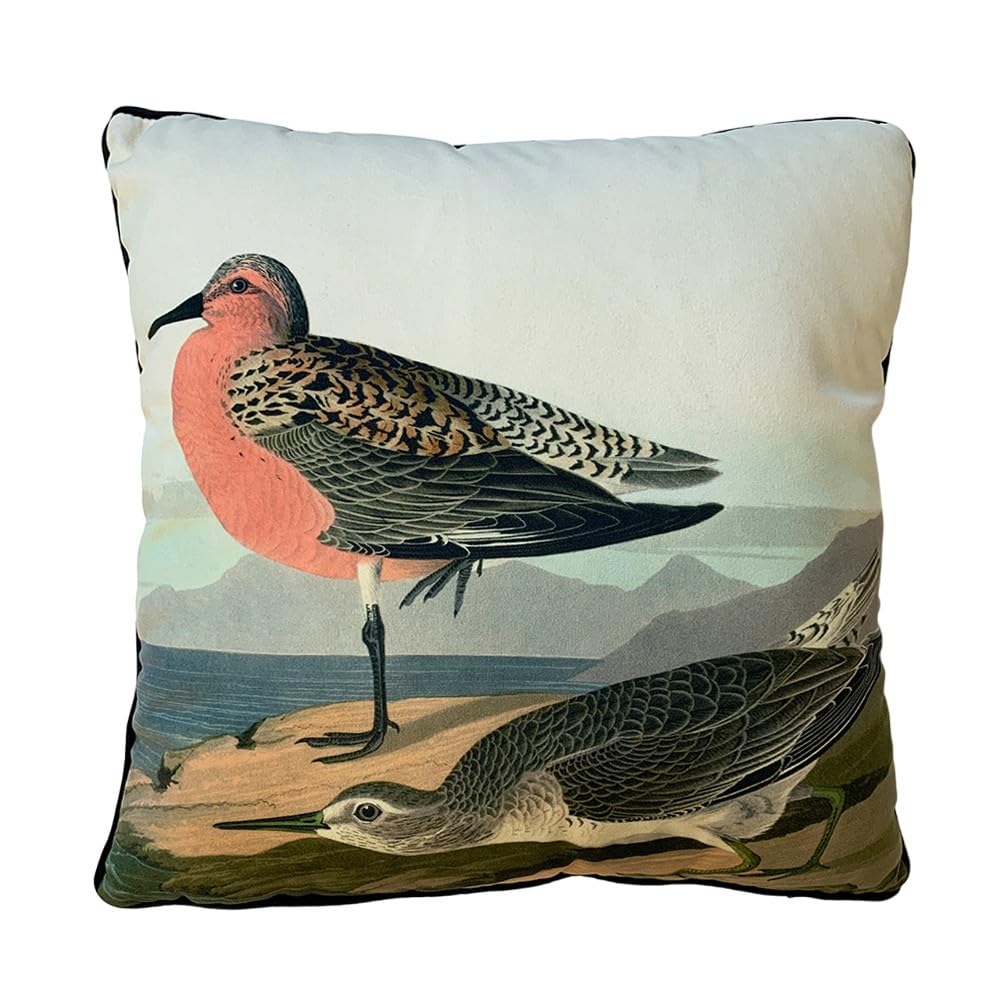 Art Group John James Audubon Red Breasted Sandpiper Cushion 40x40cm Velvet
