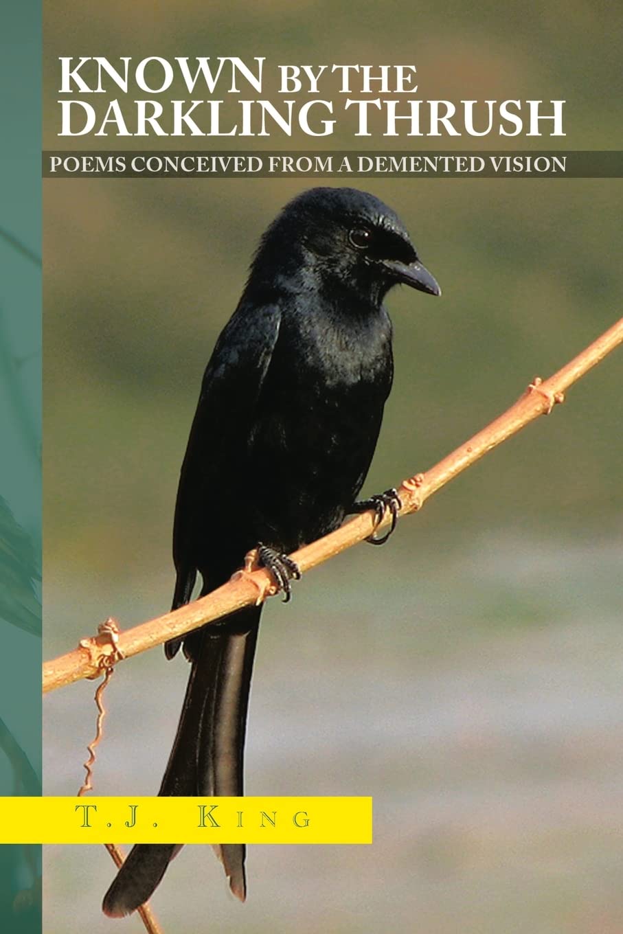 Known by the Darkling Thrush: POEMS CONCEIVED FROM THE DEMENTED VISION