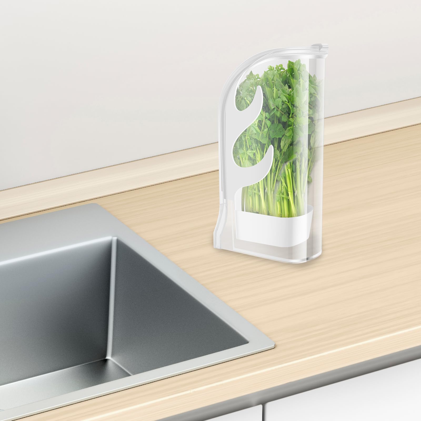Ghshanog Glass Fresh Herbs Keeper For Refrigerator,25.5X12.8x8.2 Cm Herb Saver,Clear Storage Container For Cilantro, Mint, Parsley, Asparagus,Preserver Keeps Cilantro Greens Fresh For 2-3 Weeks